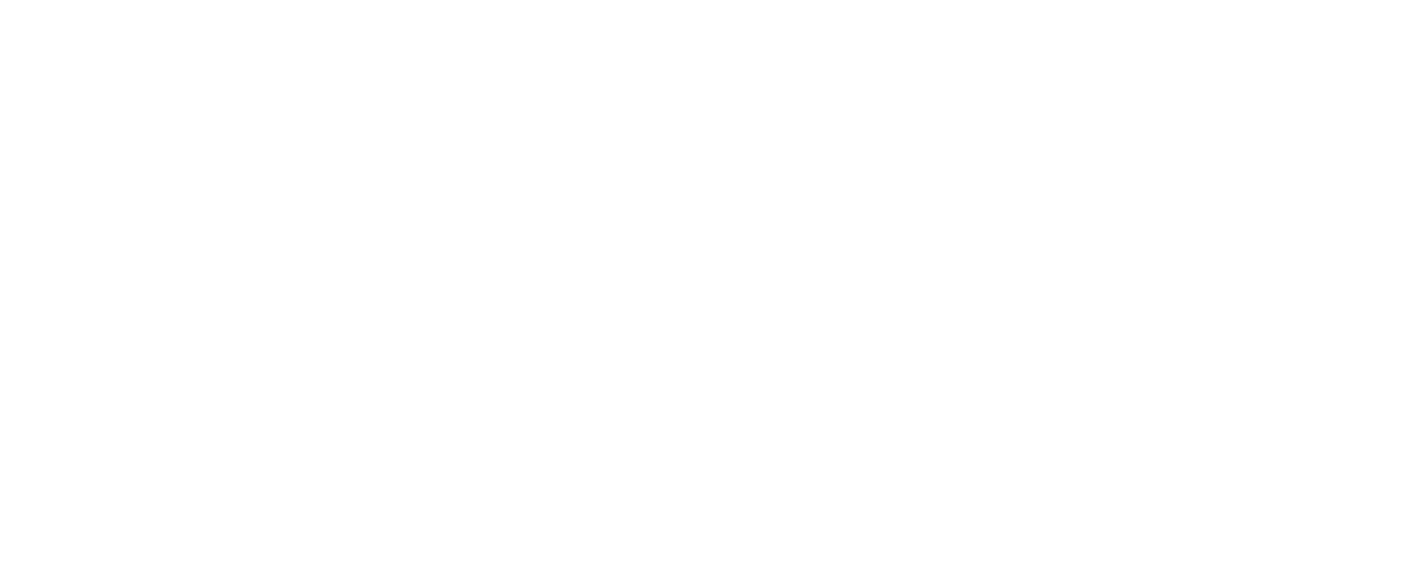 Turkish Fuel Services (TFS) - İstanbul Havalimanı Logo